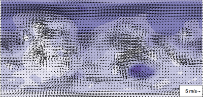 Surface wind vectors from a simulation of the ancient Martian climate.